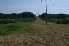 Cleared Electric Line Access