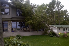 Fallen Tree Damage