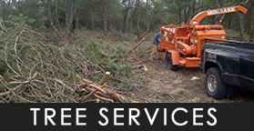 tree services in Rothbury and Oceana County